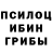 Галлюциногенные грибы Psilocybine cubensis Diana Ahmadieva