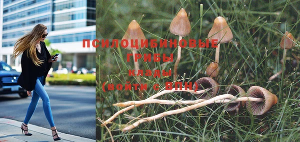 дживик Алексин