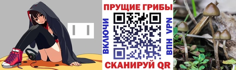Псилоцибиновые грибы Magic Shrooms  Бикин 